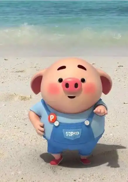 可爱的猪宝宝
