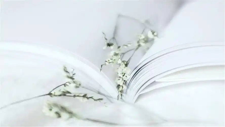 小清新白色治愈系静物高清电脑壁纸下载