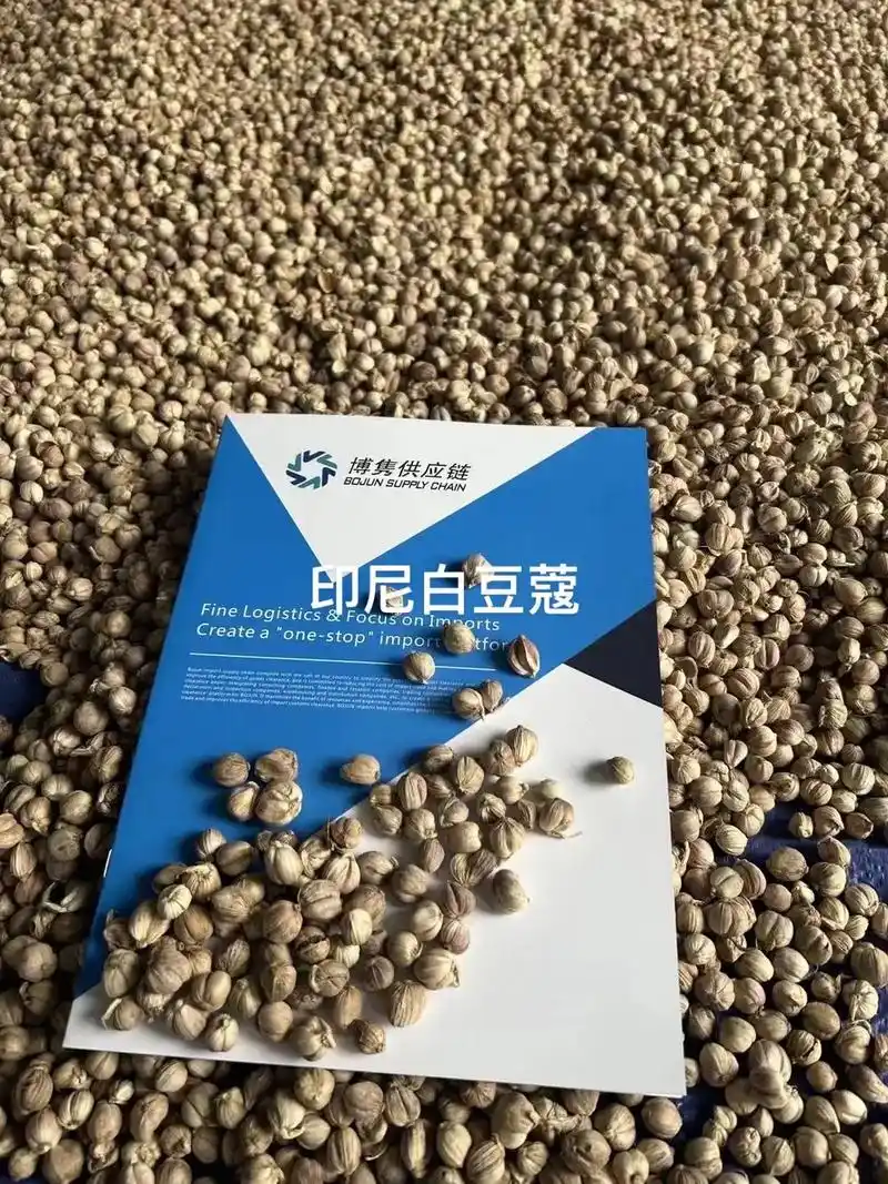 白豆蔻进口清关.#香辛料 #中药材 #印尼 #白豆蔻(拉丁学 - 抖音