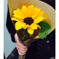 阳光可爱头像漂亮灿烂的向日葵