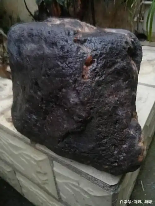 南阳老乡发现一块黑色石头众人不知道是啥请教大家