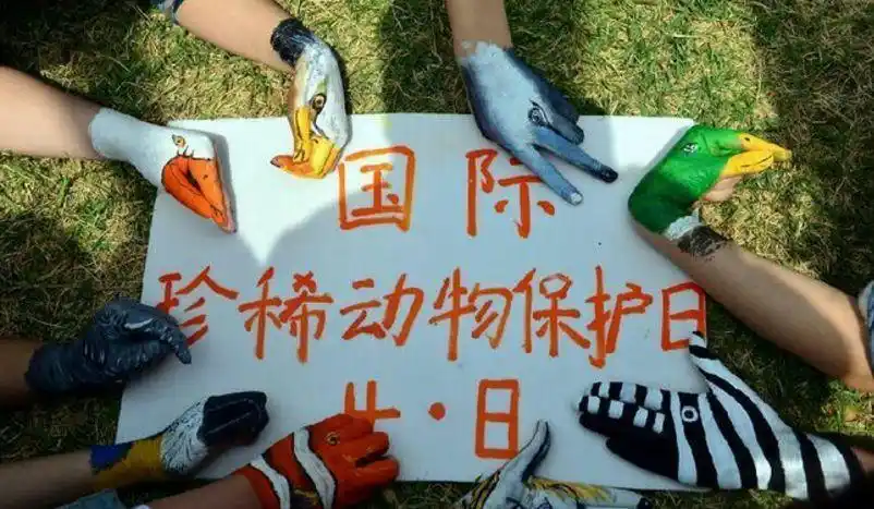 保护野生动物就是在保护我们自己——读《守翼》有感 - 简书