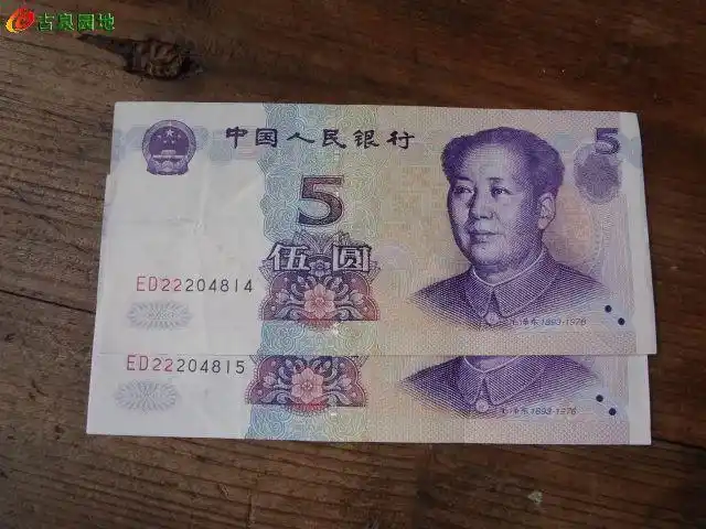 99板5元,55张连|纸币信息(正式会员) - 古泉社区