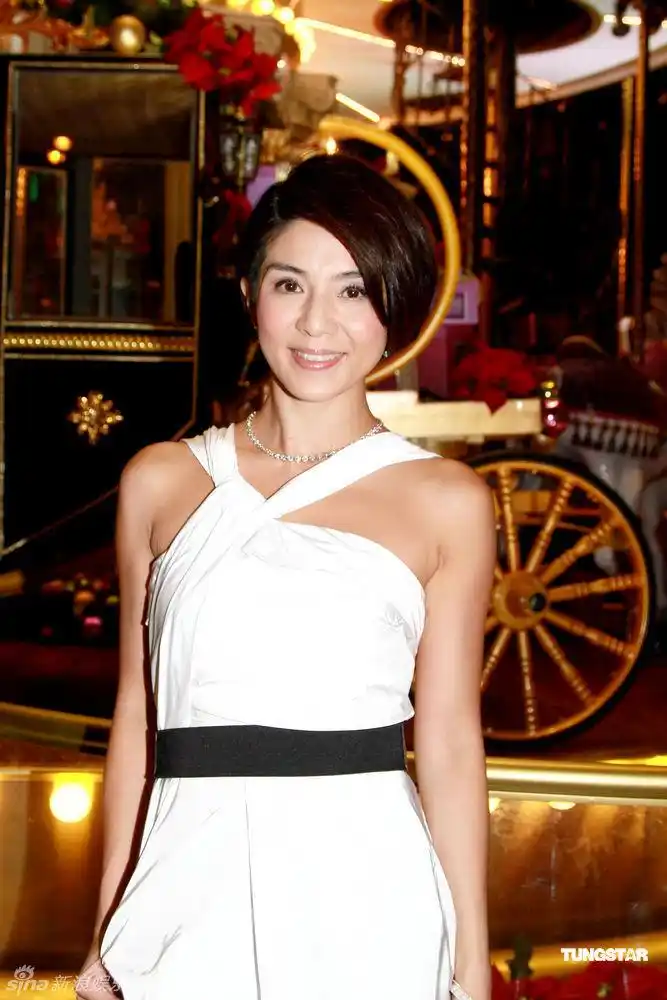 p>杨采妮,1974年5月23日出生于中国台湾省台北市,中国香港长大,中国