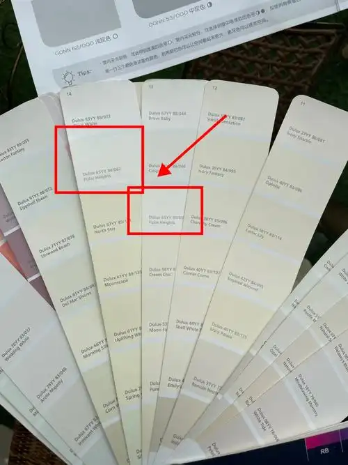 多乐士色号已定65yy90062