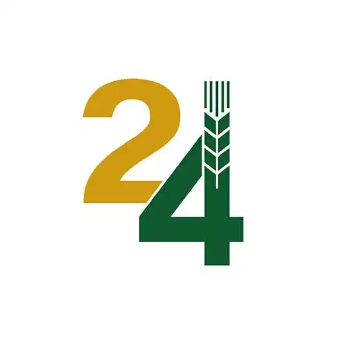 纯数字24logo设计