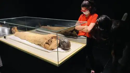 埃及文明博物馆王室木乃伊馆向公众开放