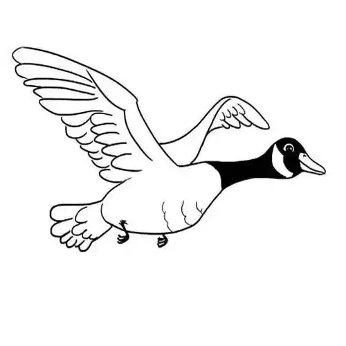 大雁简笔画三步 大雁简笔画三步 步骤 - 水彩迷