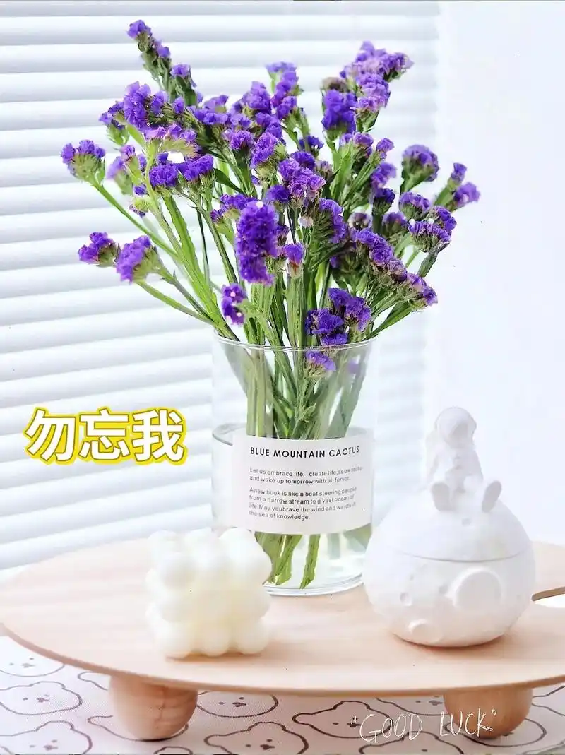 有一种花,叫勿忘我!它的花语是永恒的爱,浓厚的情 - 抖音