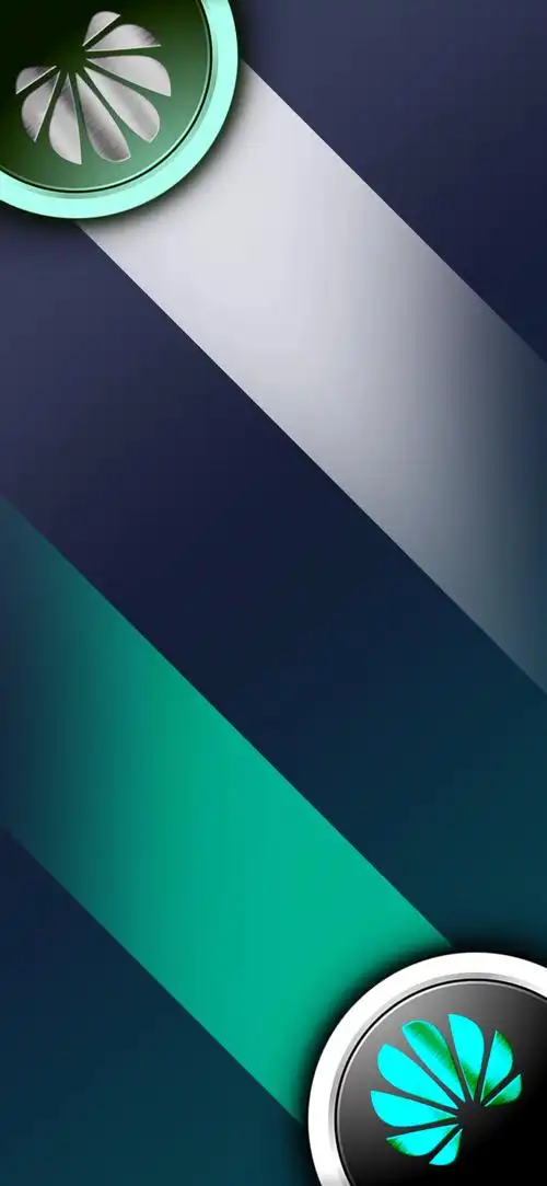 华为logo彩金双色壁纸