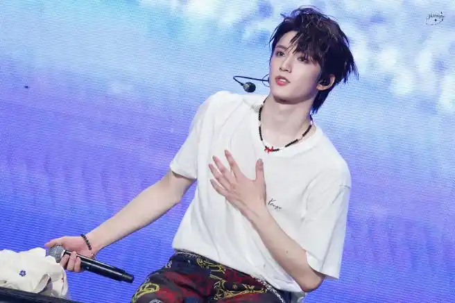 刘耀文演唱会生图##刘耀文加冠礼演唱会