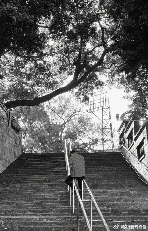 罗晋旷野之境萧旷杀青##罗晋晒背影照告别旷野之境萧旷