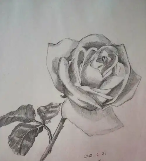 铅笔画临摹练习