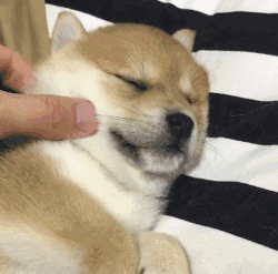 250_247gif 动态图 动图