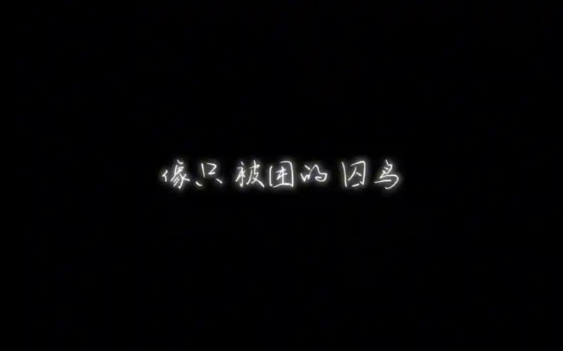 comsnh48无风岛屿的成员名单search