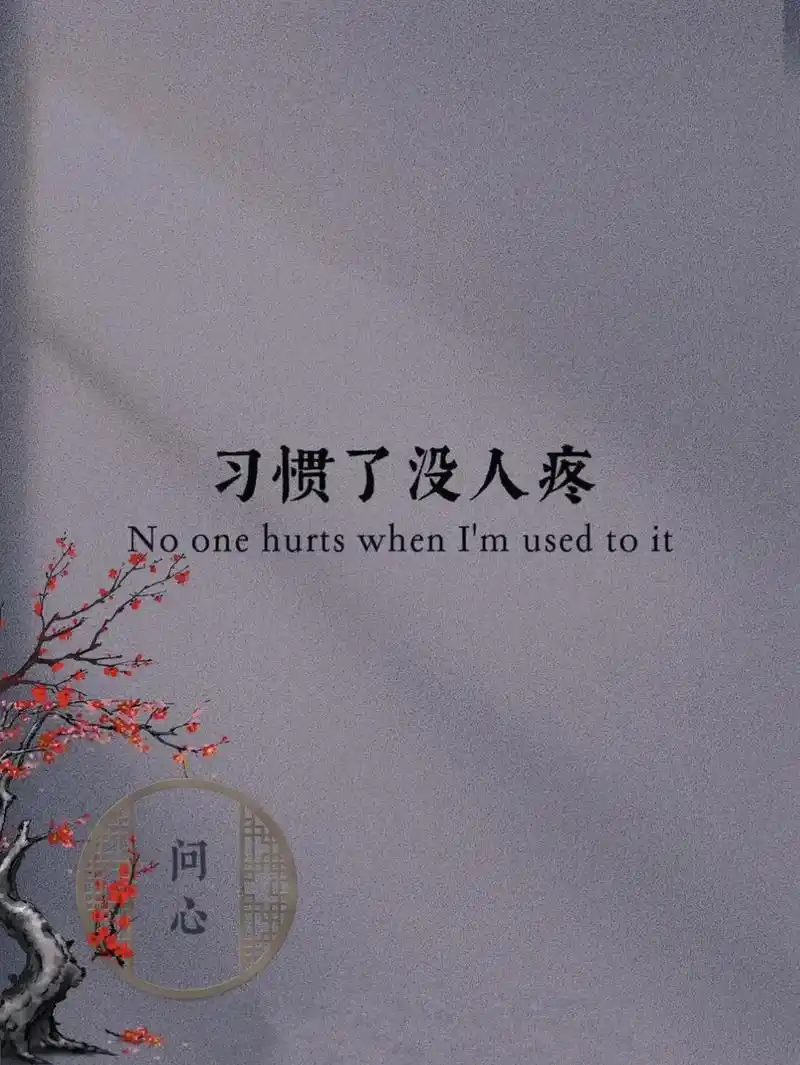 习惯了没人疼 没人爱,没人关心得 日子,累了自己扛,流泪了自 - 抖音