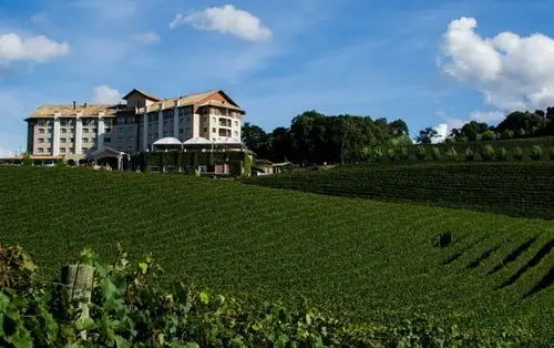 智利葡萄酒智利7大葡萄酒酒庄推荐