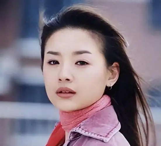 穿上miu miu钻石裤钗的董洁,网友:玉女变了