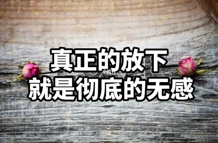 真正的放下,就是彻底的无感_情感