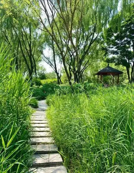 邻居们咱家附近这个公园清幽还免费