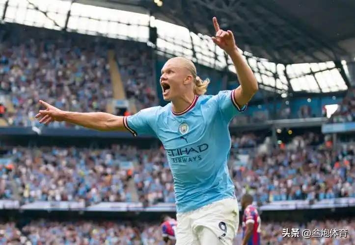 哈兰德看台上欢呼庆祝(还差12球!