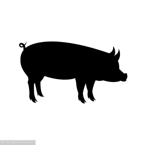 一头猪扁平的黑色剪影