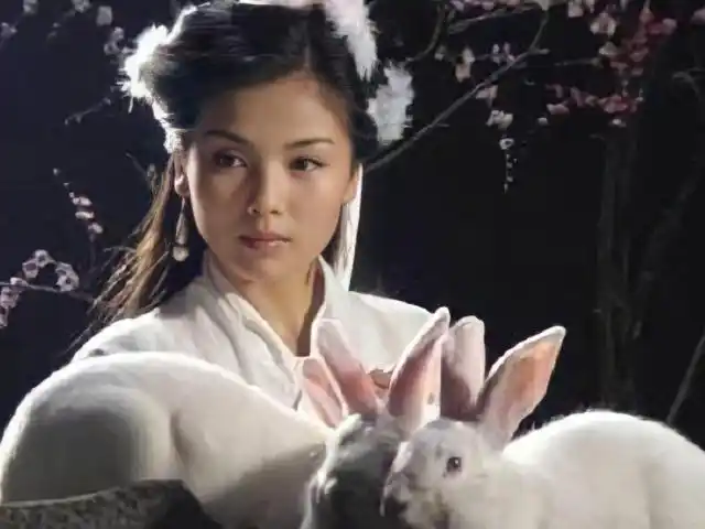 86版《西游记》嫦娥近照曝光,63岁的邱佩宁,美到认不出