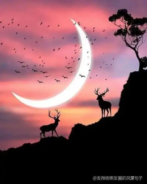 发微信朋友圈的风景句子