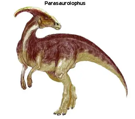 副栉龙叫声最响白垩纪食草恐龙