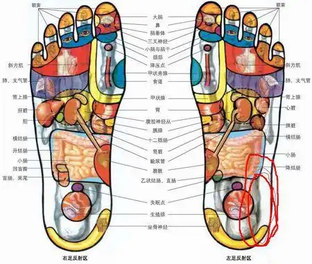 脚后跟疼,晚上回家 都要那热水泡泡.要不第二天疼的厉害