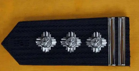 科普警衔两杠三星是警察的什么职务由公安部部长授予