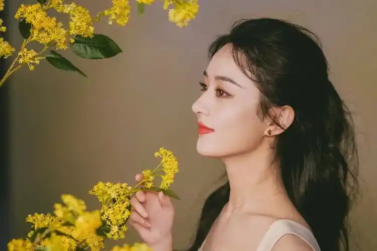 赵丽颖_新浪财经_新浪网