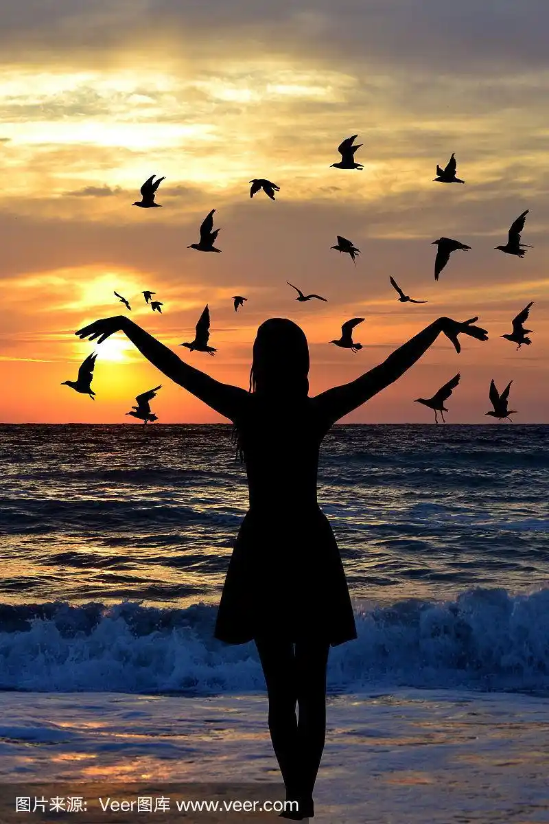 年轻女子和鸟儿在海边剪影