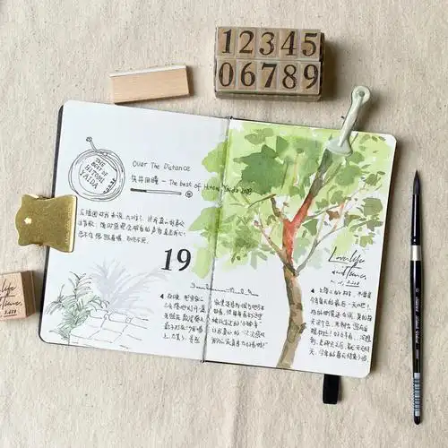 手绘手帐把夏天记录在本子里