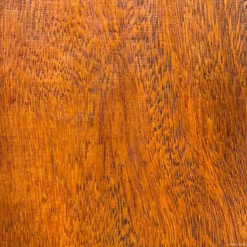 它是热带常绿大乔木,主要产于印度,缅甸,老挝,越南,柬埔寨,泰国和我国