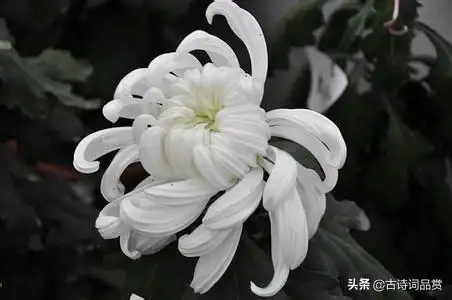 头条问答 - 亲人离世一直不能放下悲伤怎么办?(68个回答)