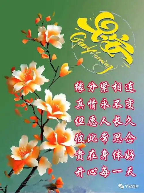 11月10日早安漂亮图片大全,温馨早安问候祝福语