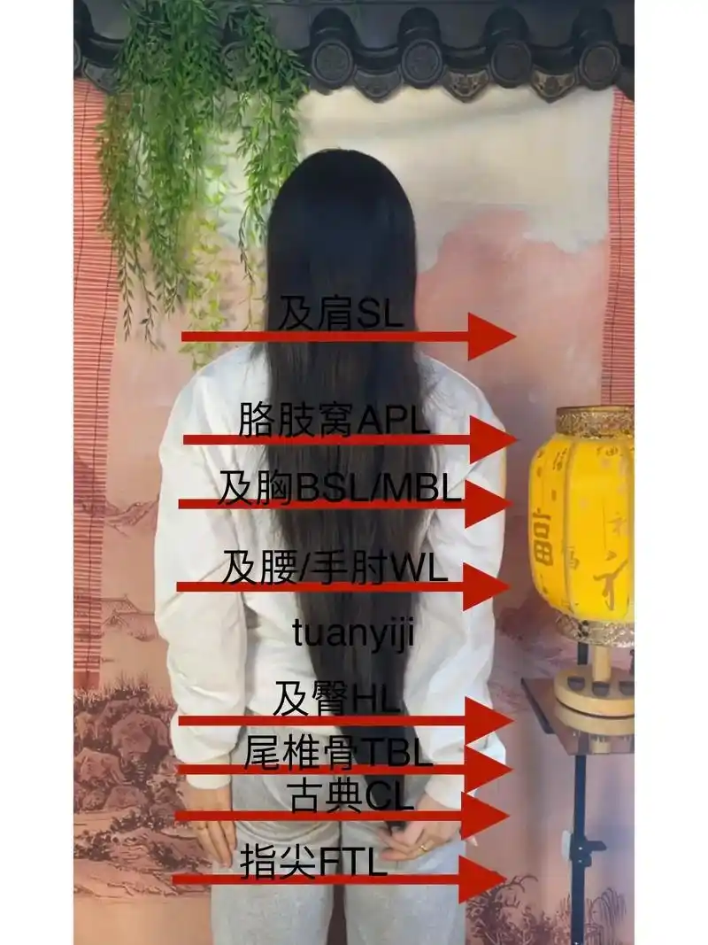 2023.6.19 头发长度表更新,我现在是 - 抖音