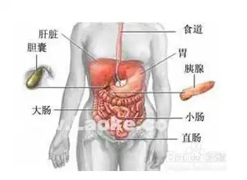 吃什么治胆结石