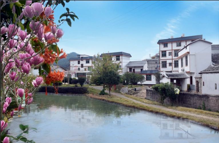 中都镇最美村落兴坊村-上杭县人民政府网