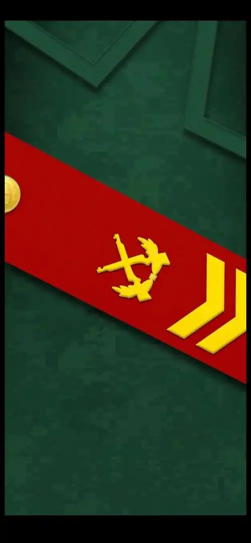 要高清的谢谢大家(手机壁纸|人民武警军衔等级肩章系列全套手机壁纸)