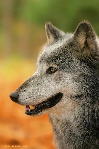 400_600竖版 竖屏