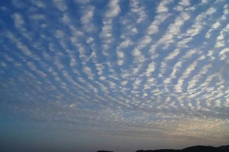 我是从书本上看到过,看过关于天空波状云的图片,看过地震前动物变化