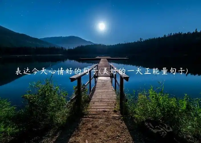 表达今天心情好的句子(美好的一天正能量句子)