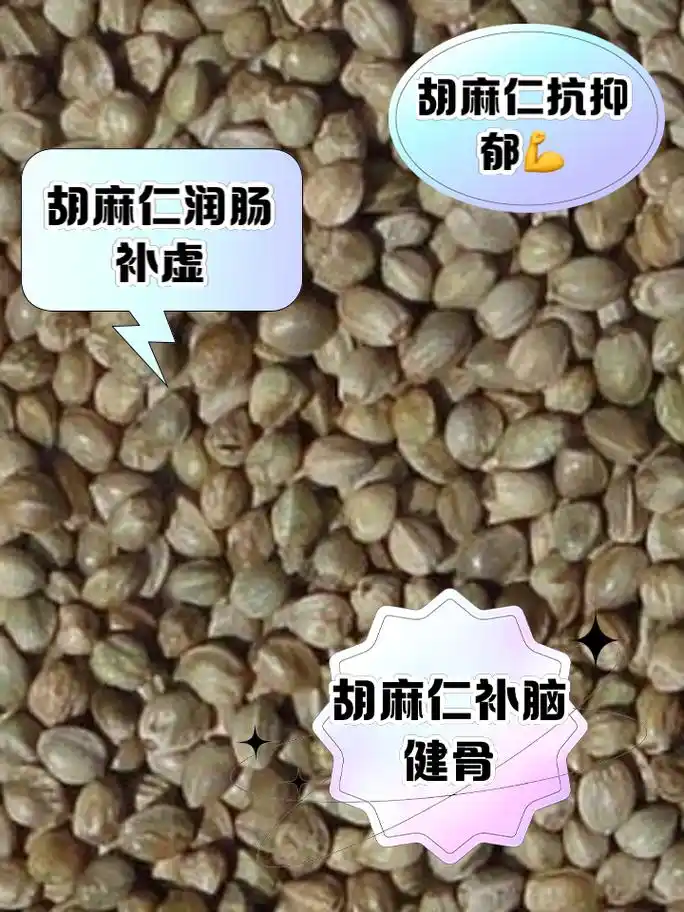 胡麻仁的功效与作用