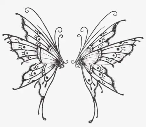 蝴蝶的简笔画图片大全大图 卡通蝴蝶图片大图蝴蝶笔画图片大全大图