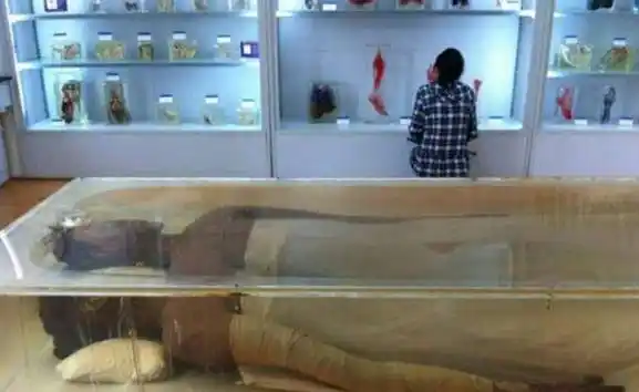 1982年,中国第一女巨人曾金莲去世,为何遗体38年还不下葬?