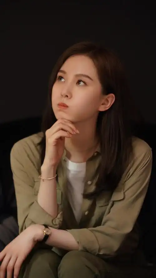 流金岁月 蒋南孙 刘诗诗