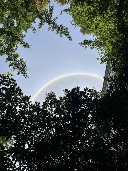 成都日晕太美了吧