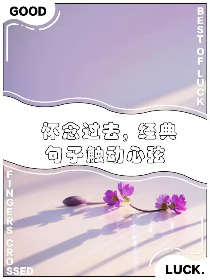 怀念过去,经典句子触动心弦